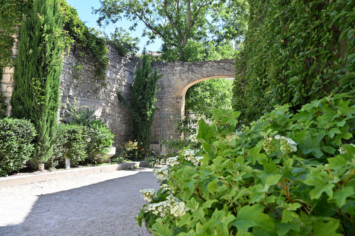 Jardin des Carmes © Mairie Avignon / CAubry-GQuittard